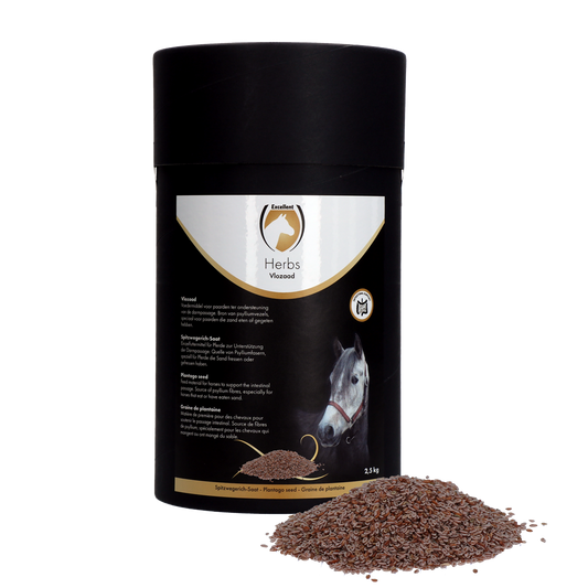 Excellent Horse Herbs Spitzwegerich-Saat 2,5 kg – Unterstützung Für Eine Gesunde Darmpassage