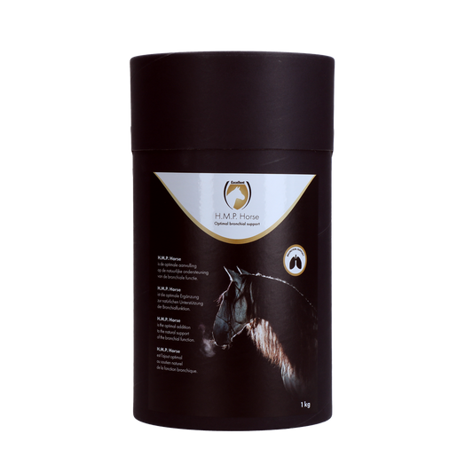 Excellent Horse H.M.P. Pulver 1 kg – Effektive Unterstützung Für Atemwege