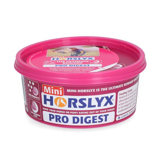 Horslyx Mini Verdauung – Schmackhafter Leckstein Für Pferde