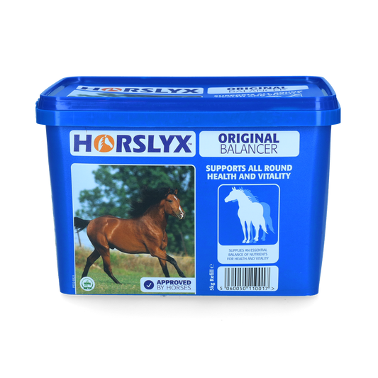 Horslyx 5 Kilo Original – Schmackhafter Leckstein Für Pferde