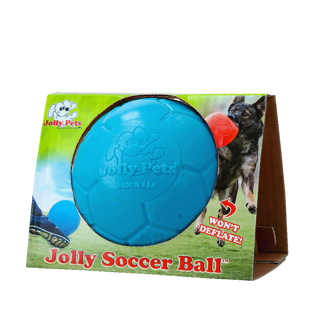 Jolly Fußball Hellblau S – Bissfestes Material Für Längeren Spielspaß