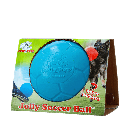 Jolly Fußball Hellblau S – Bissfestes Material Für Längeren Spielspaß