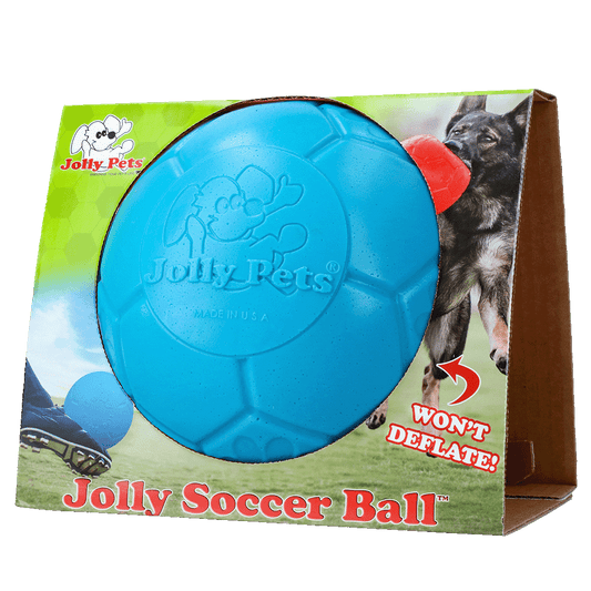Jolly Hunde Fußball Hellblau L – Bissfestes Jollyflex Material mit Schwimmfähigkeit