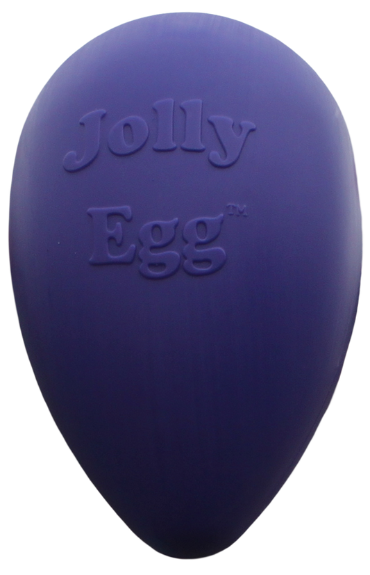 Jolly Egg Violett L – Praktisch Unzerstörbares Spielzeug für Hunde