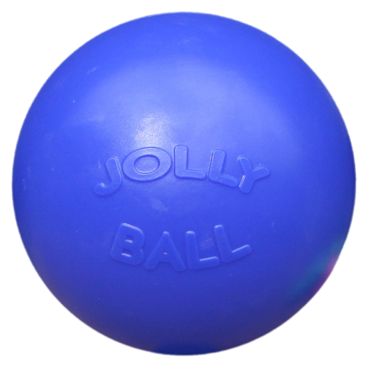 Jolly Push-n-Play Blau L – Extrem Widerstandsfähiges Hundespielzeug