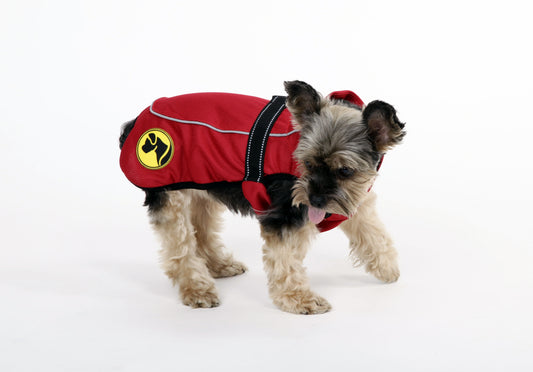 Dog Armor Knockdown Coat – Effektiver Insektenschutz für Hunde