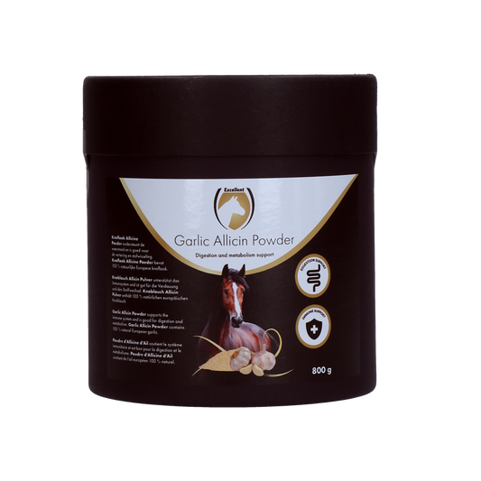Excellent Horse Knoblauch Allicin Pulver 800 g – Unterstützt Verdauung Und Stoffwechsel