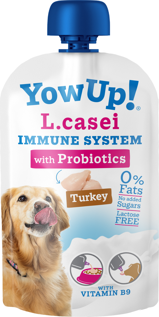 YowUp! L. Casei Immunsystem Turkey Hund – Millionen Aktive Probiotika für Optimale Gesundheit