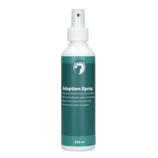 Excellent Adoptionsspray Lämmer 250 ml – Verhindert Abstoßen Vom Mutterschaf