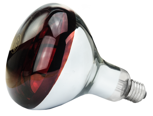 Hartglas Lampe 250 W - Rot