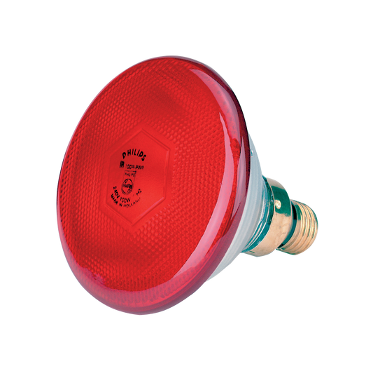 Sparlampe 100 W - Rot