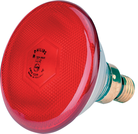 Sparlampe 175 W - Rot