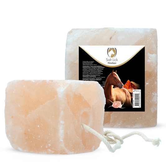 Excellent Horse Himalaya Salzleckstein 2-3 kg – Natürliche Mineralienversorgung