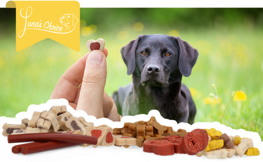 Luna's Choice Trainer Mix Glutenfrei – Geschmackvolle Belohnung Für Hunde