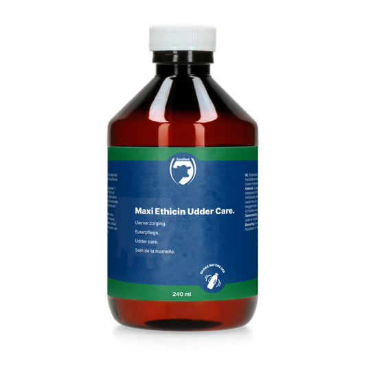 Excellent Maxi Ethicin 240 ml – Unterstützt Den Heilungsprozess Natürlich Und Schnell
