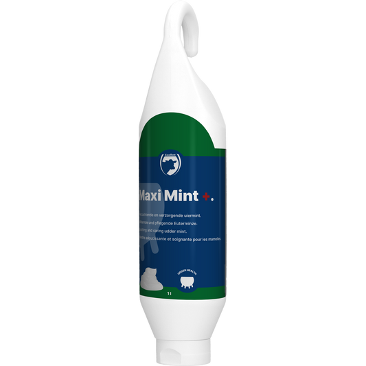 Excellent Maxi Mint+ Steh-/Hängeflasche 1 l – Optimale Eutergesundheit für Milchkühe