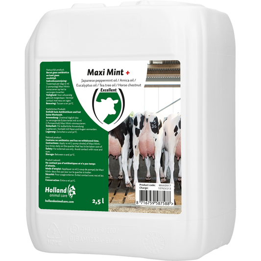 Excellent Maxi Mint+ Bulkverpackung 2,5 l – Innovative Pflege für Eutergesundheit