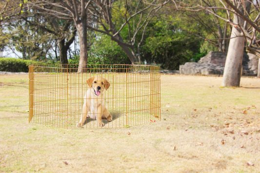 Pawise Hundespielplatz L – Praktischer Mobiler Laufstall