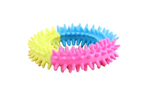 Pawise Rainbow World Ring S – Fördert Zahngesundheit und Spielspaß