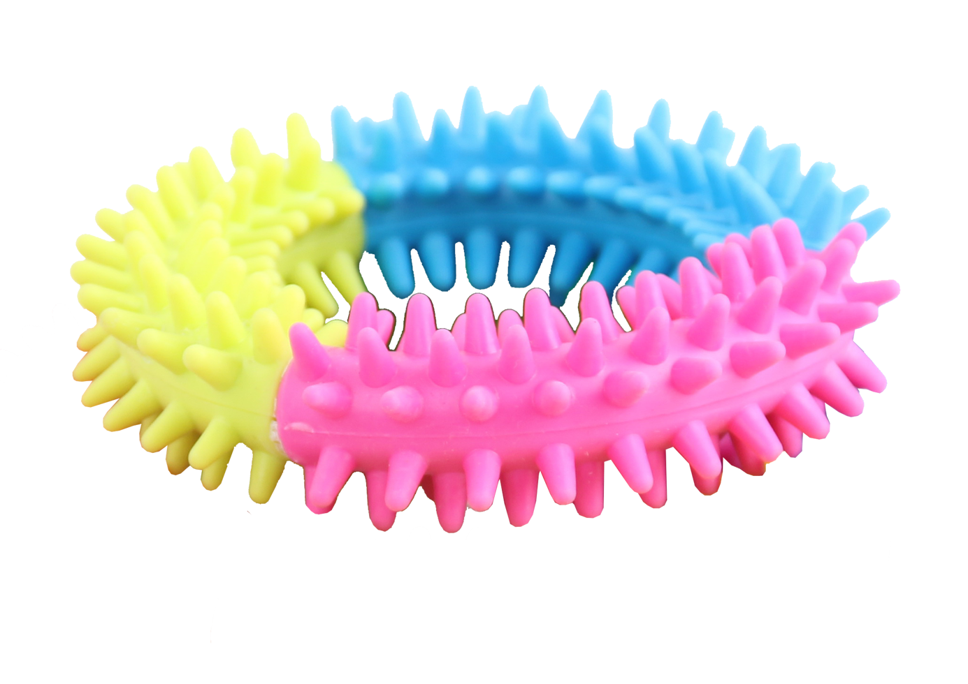 Pawise Rainbow World Ring L – Fördert Zahn- und Zahnfleischgesundheit