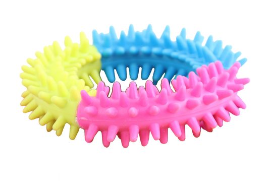 Pawise Rainbow World Ring L – Fördert Zahn- und Zahnfleischgesundheit