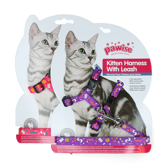 Pawise Katzen Geschirr Mit Leine Pink/Lila – Perfekt Für Sichere Ausflüge