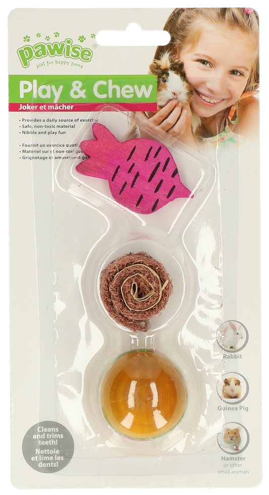 Pawise Wooden Loofah Pretty Toys No2 – Ideales Zahnspielzeug für Kleine Nagetiere