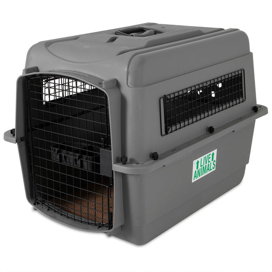 Petmate Sky Kennel 11 - 14 kg – Sicheres Reisen Für Ihr Haustier