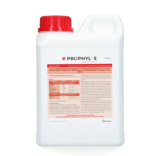 Prophyl S 1 L – Effektive Prophylaxe für Gesunde Zähne