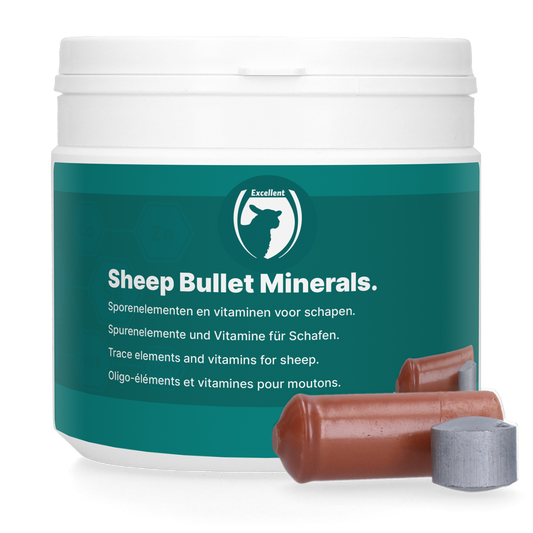 Sheep Bullet Mineralenboli 10 St – Langfristige Ergänzung Für Schafe Mit Spurenelementen