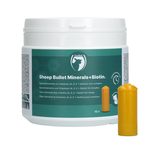 Excellent Sheep Bullet Mineralien + Biotin – Langfristige Versorgung mit Spurenelementen