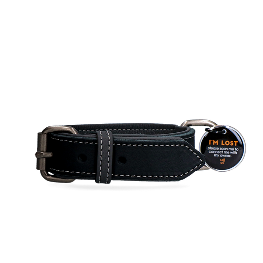 Spotted! Pro Lederhalsband Schwarz 3 x 65 cm – Hochwertiges Und Langlebiges Leder
