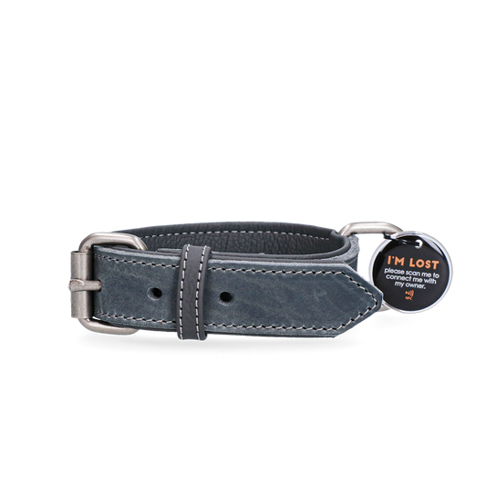 Spotted! Pro Lederhalsband Grau 2,5 x 45 cm – Hochwertiges Durchgegerbtes Leder