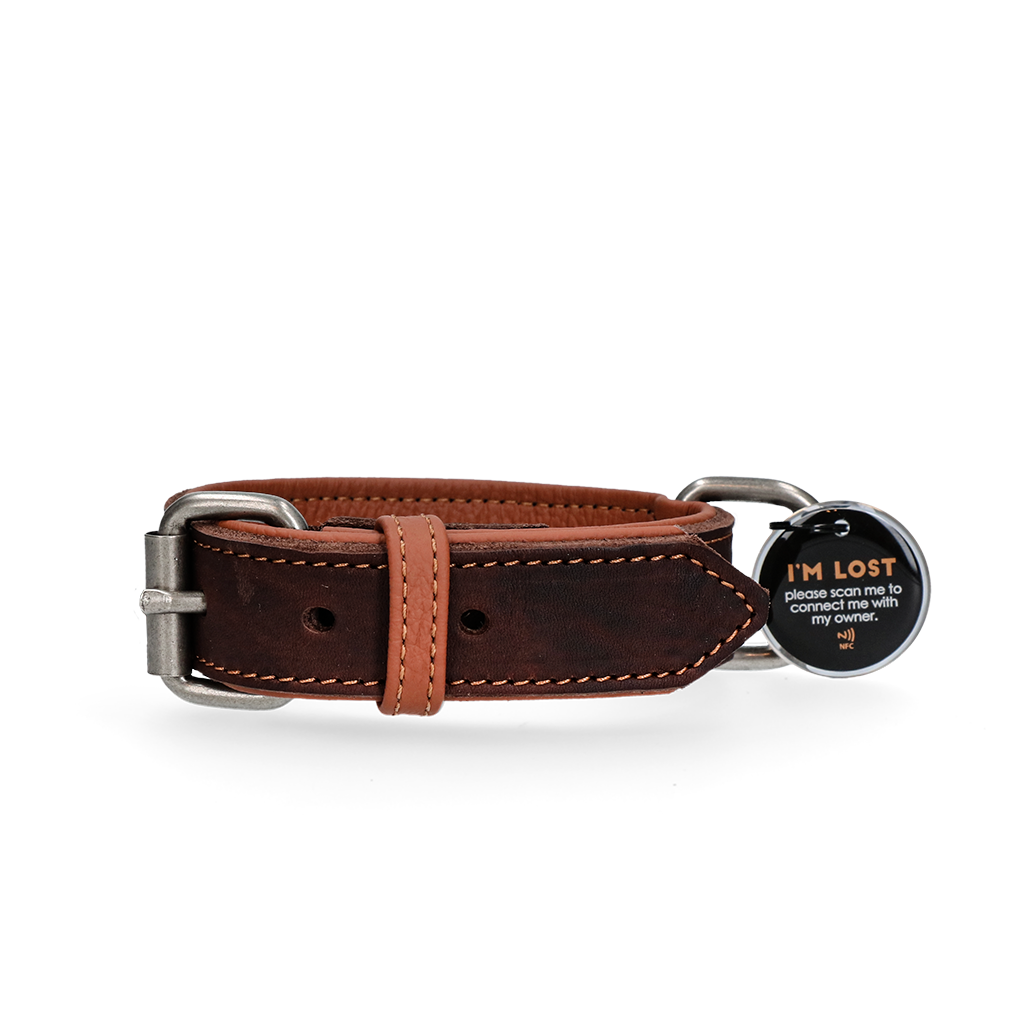 Spotted! Pro Lederhalsband Braun 2,5 x 45 cm – Hochwertiges Echtleder für Optimalen Tragekomfort