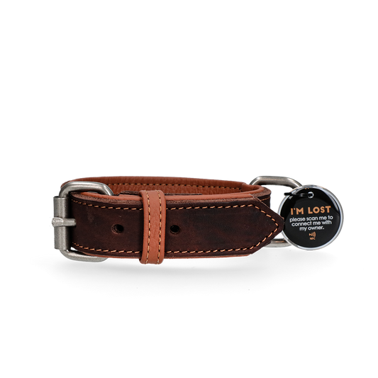Spotted! Pro Lederhalsband Braun 3 x 65 cm – Hochwertiges Leder und Hoher Tragekomfort