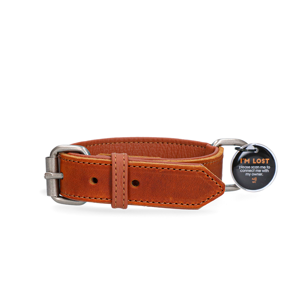 Spotted! Pro Lederhalsband Cognac 2,5 x 45 cm – Hochwertiges Durchgegerbtes Leder