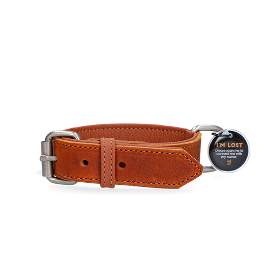 Spotted! Pro Lederhalsband Cognac 2,5 x 45 cm – Hochwertiges Durchgegerbtes Leder