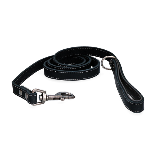 Spotted! Pro Leder Hundeleine Schwarz – Hochwertiges Rindsleder Für Optimale Haltbarkeit