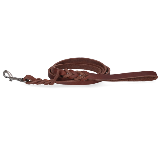 Spotted! Pro Leder Führleine Braun 1,2 x 180cm – Hochwertige Lederqualität mit Schöner Flechtung