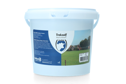 Excellent Zugsalbe 1 L – Hautpflege Mit 4 Prozent Campher und 15 Prozent Ichthammol