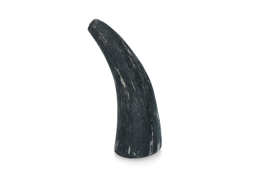 Viking Horn Whole S – Biologisch und Zahnpflegefreundlich für Hunde