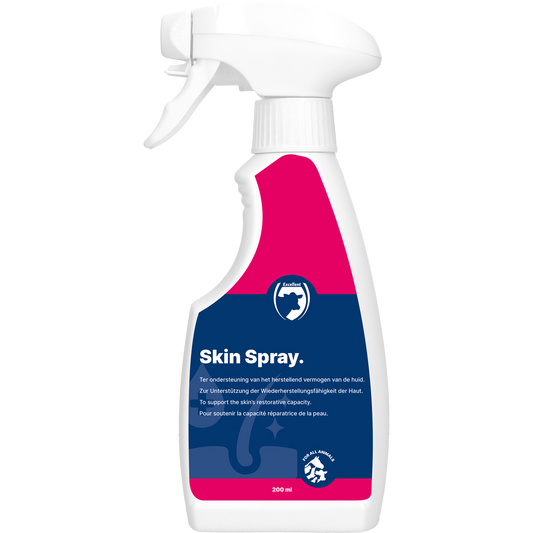 Excellent Skin Spray Blank 200 ml – Unterstützt Die Hautregeneration