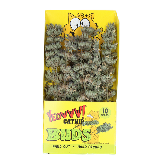 Yeowww! Katzenminze Buds – Biologisch Angebaut für Unwiderstehlichen Spaß