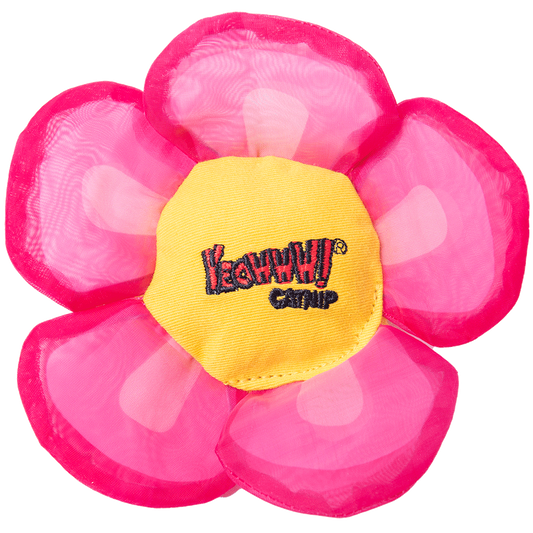 Yeowww! Daisy's Flower Tops Pink – Biologisch Angebaute Katzenminze Mit Knistern