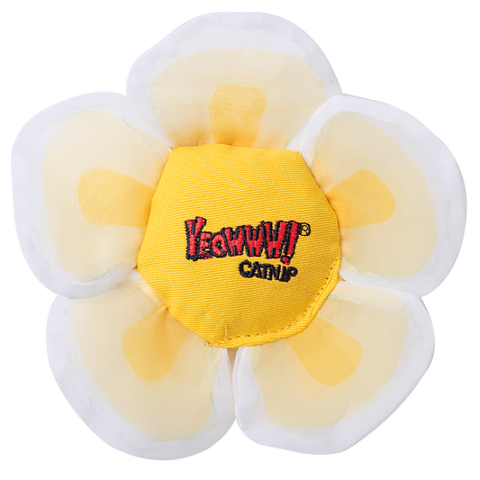 Yeowww! Daisy's Flower Tops – Biologisch Anbau Katzenminze mit Knisternden Blütenblättern