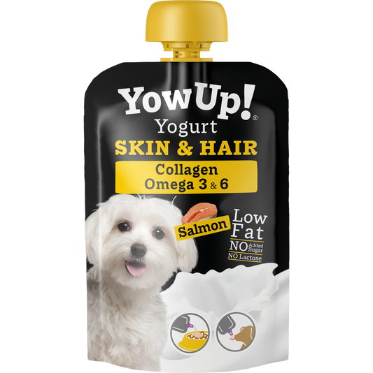 YowUp! Joghurt Hunde Lachs Haut & Fell – Laktosefrei Und Omega-3-Reich