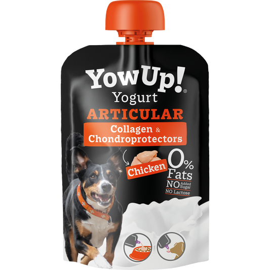YowUp! Joghurt Hunde Huhn Gelenke – Laktosefrei und Fettfrei
