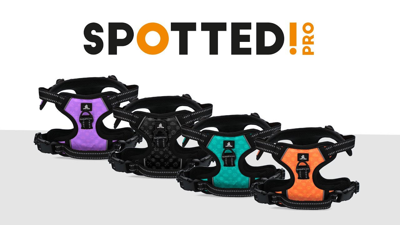 Spotted! Pro No Pull Harnas Grün XXS – Optimaler Komfort Für Ihren Hund